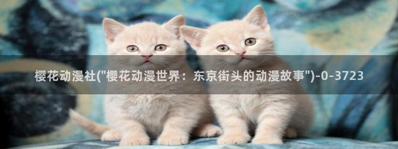 海贼王樱花动漫