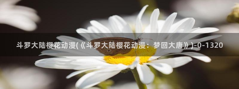 樱花动漫社