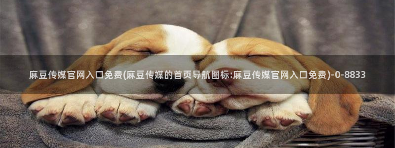 麻豆视频推荐内容