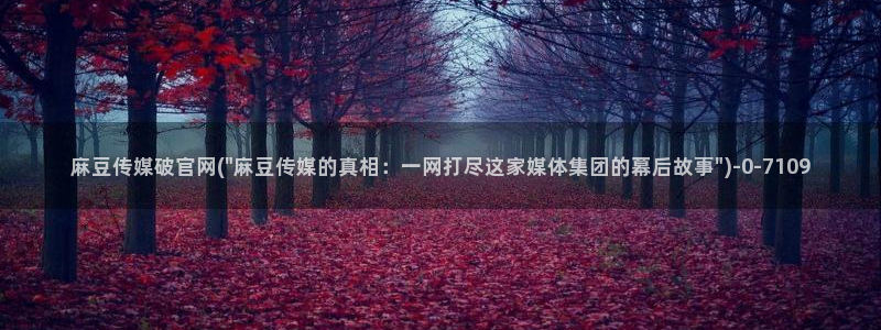 麻豆视频站关键词