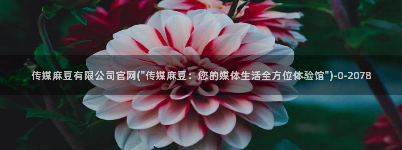 麻豆视频站关键词