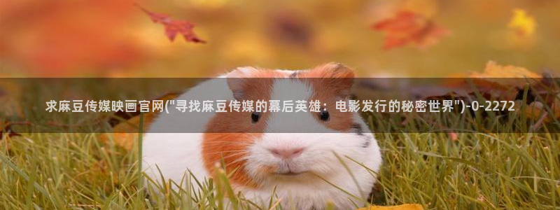 麻豆采集模板