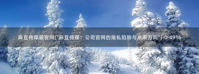 麻豆视频百度优化：麻豆传媒破官网(\