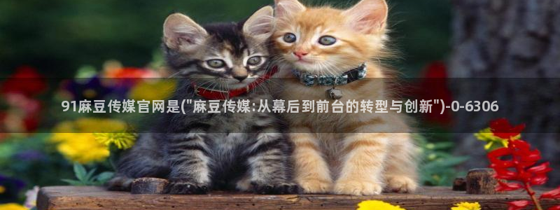 麻豆演员：91麻豆传媒官网是(\