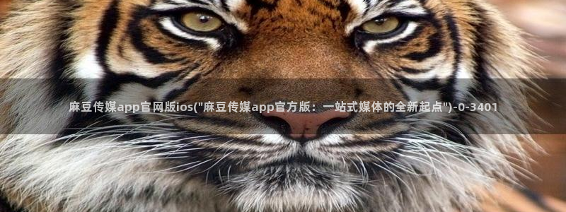 麻豆精选页
