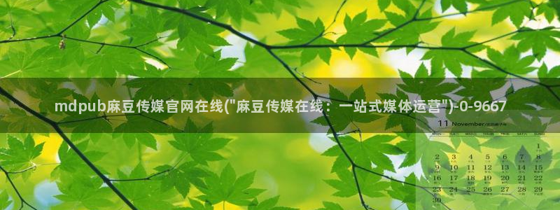 麻豆入门指南：mdpub麻豆传媒官网在线(\