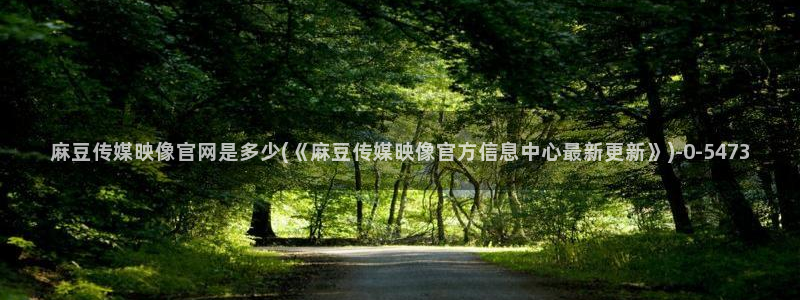 麻豆视频栏目规划