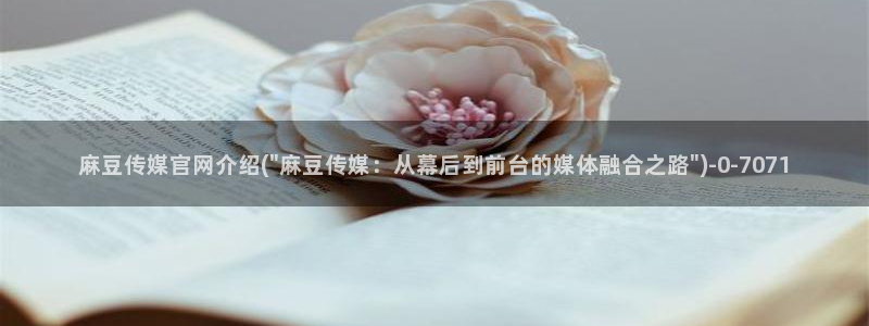麻豆百度收录