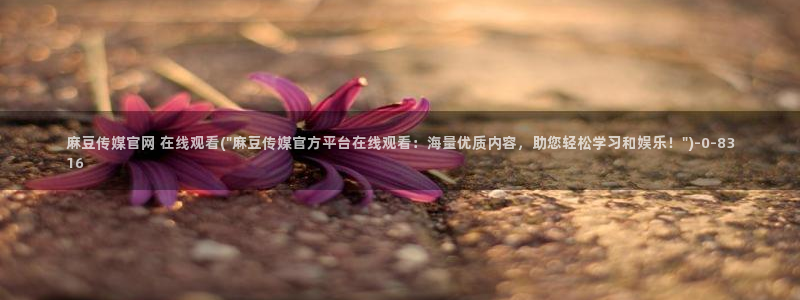 麻豆视频目录