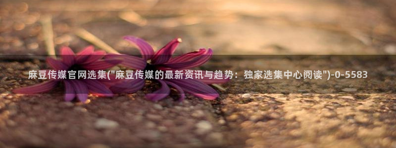 麻豆精选片单