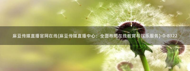 麻豆入门指南