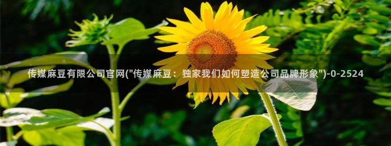 麻豆视频导航