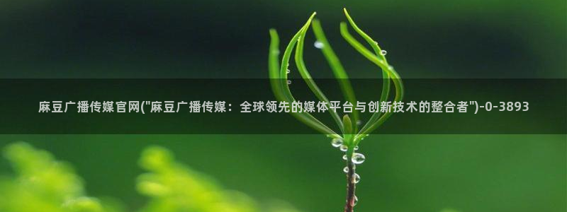 麻豆视频高流量词