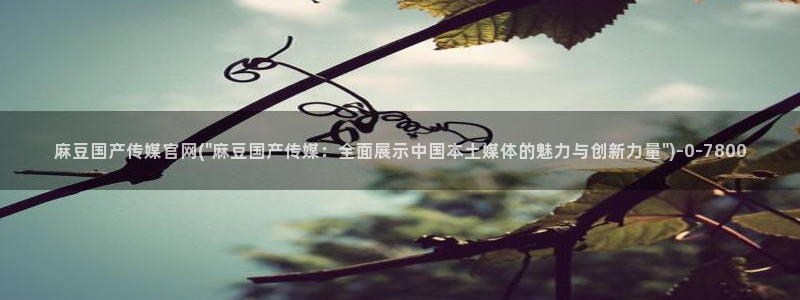 麻豆专题页