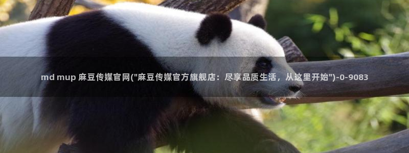 麻豆视频导航