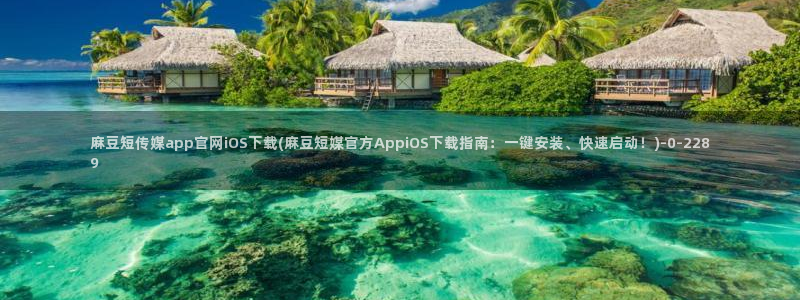 麻豆传媒视频