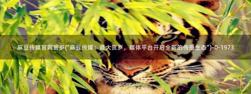麻豆视频下载