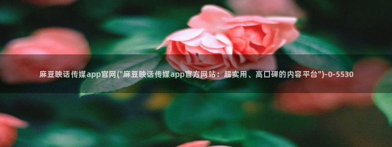 麻豆SEO关键词
