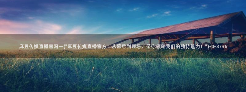 麻豆专题整理