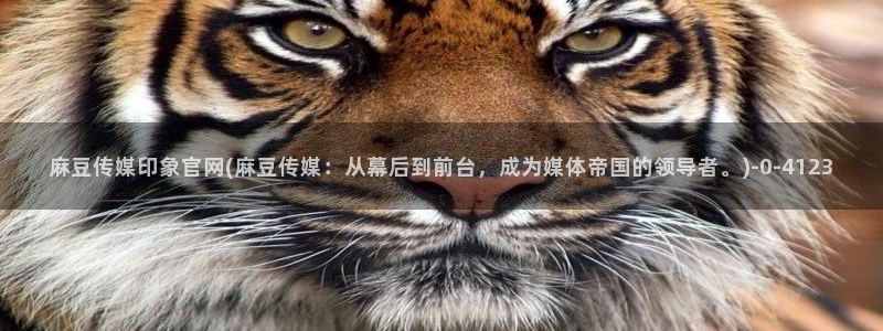 麻豆视频目录