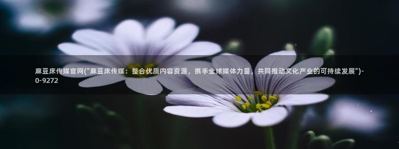 麻豆剧情标题