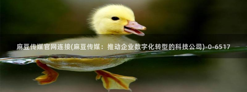 麻豆视频在线观看