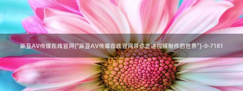 麻豆描述优化
