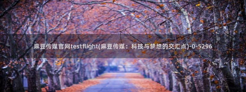 麻豆新片