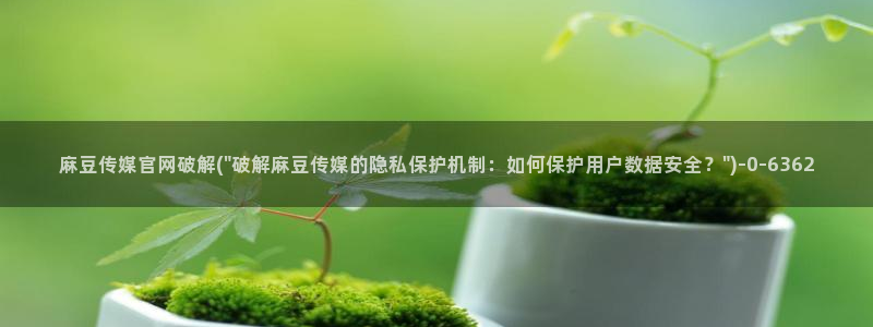 麻豆内容采集