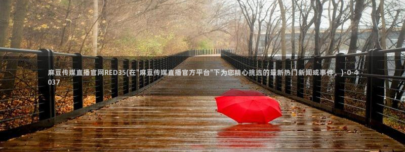 麻豆演员标题
