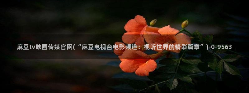麻豆免费视频观看