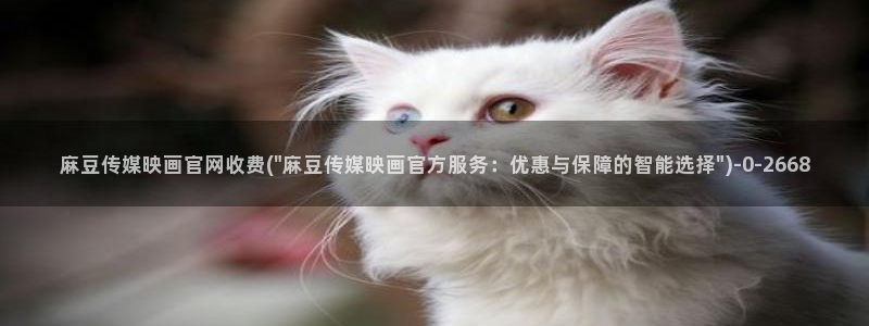 麻豆演员